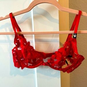 Red Lace Sheer Bra